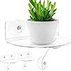 Amazon Skewo Pack Acrylic Window Boxes Plant Shelves For