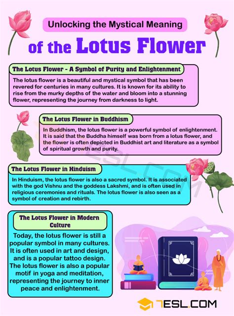 Lotus Flower Meaning What Does It Mean Esl