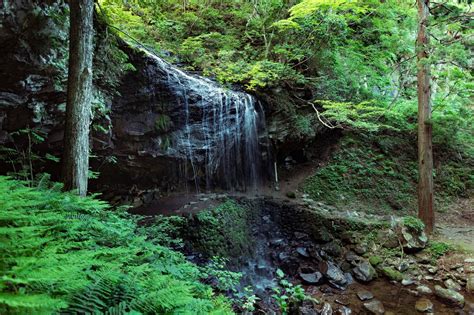 静かに流れ落ちる裏見の滝（岩井滝）と新緑の無料の写真素材 Id21280｜フリー素材 ぱくたそ