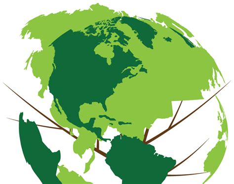 A Educa O Ambiental No Brasil