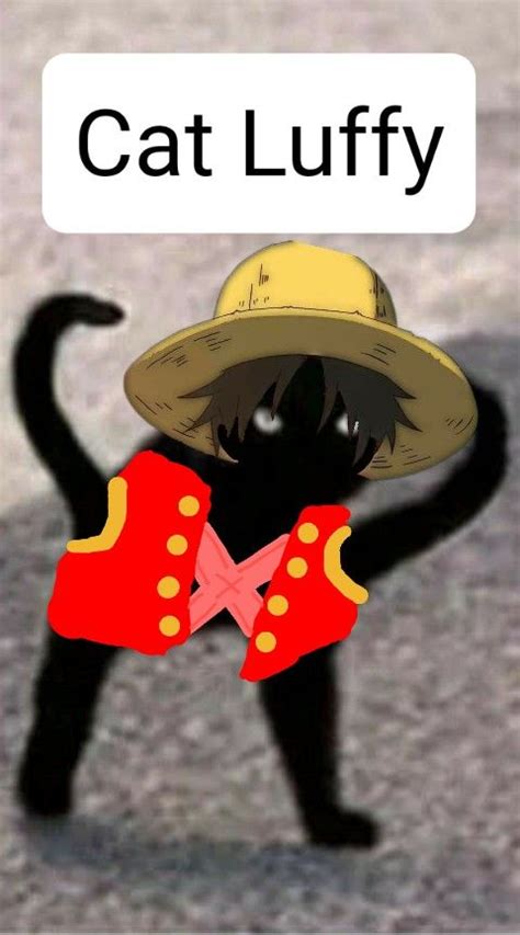 Cat Luffy🐱