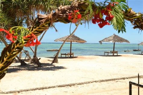 La Madrugada Beach Hotel Resort In Zanzibar Is One Of The Most