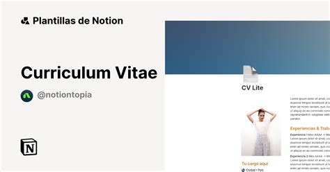 Plantilla Curriculum Vitae Notion Marketplace