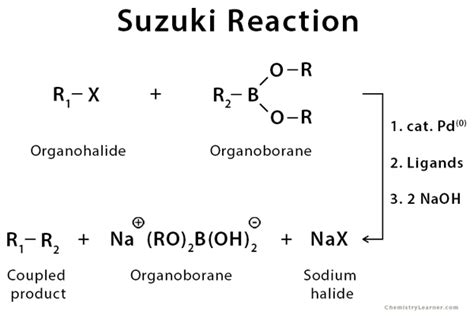 guapo lavabo intelectual suzuki miyaura coupling reaction único ...