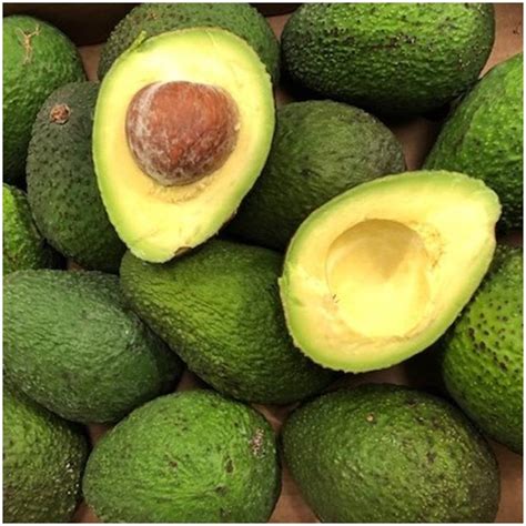 Fresh Organically Untreated Organic Avocados Hass Organic Directly From