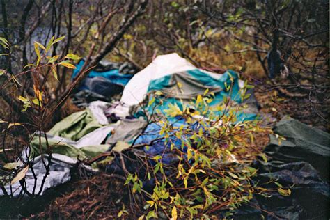 timothy treadwell death remains 4