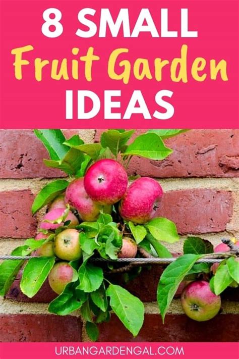 8 Small Fruit Garden Ideas - Urban Garden Gal