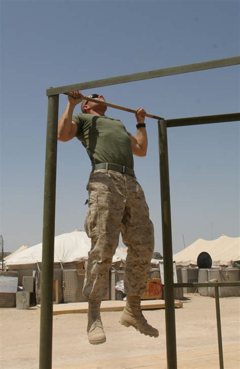 Filemarine Pull Ups Wikipedia