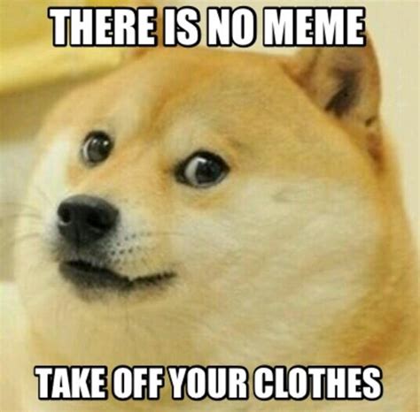 Doge "There Is No Meme, Take Off Your Clothes" | I Lied to You, Take Off Your Clothes / There Is ...