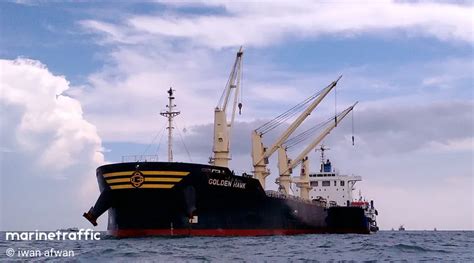 Vessel Details For Golden Hawk Bulk Carrier Imo 9745598 Mmsi