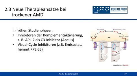 Innovative Diagnostik und Therapieansätze in der Augenheilkunde ppt