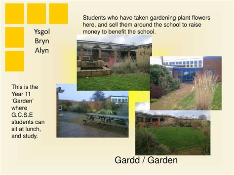 PPT - Ysgol Bryn Alyn PowerPoint Presentation, free download - ID:5449031