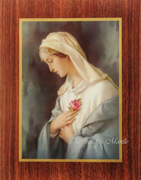 Virgin Mary Mystical Rose Rosa Mystica 7x9 Etsy