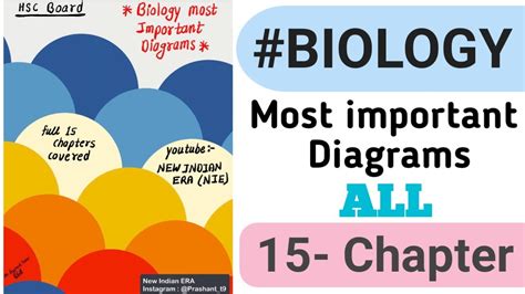 Biology Most Important Diagrams Of Full Chapters Hsc Board