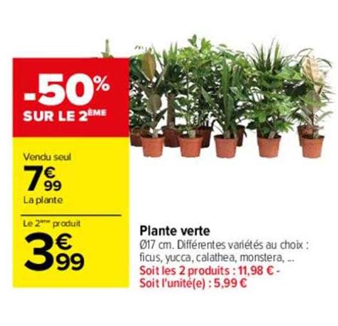 Promo Plante Verte Chez Carrefour ICatalogue Fr