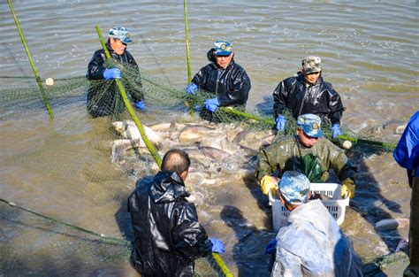 共贺125校庆 武科大万名师生共赴“沁湖鱼宴” 新闻网