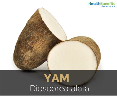 Yam Facts, Health Benefits and Nutritional Value