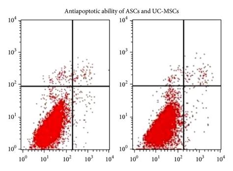 Proliferation And Antiapoptotic Ability Of Ascs And Uc Mscs A Growth Download Scientific