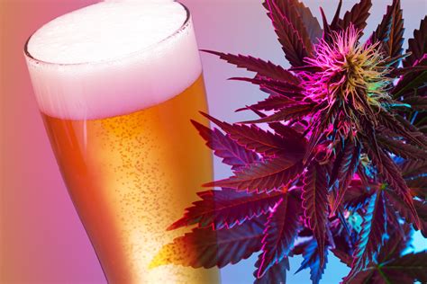 Heady Homebrew Making Beer With Cannabis American Homebrewers