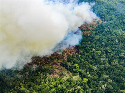 Mayoría de incendios forestales ocurrieron en la Amazonía