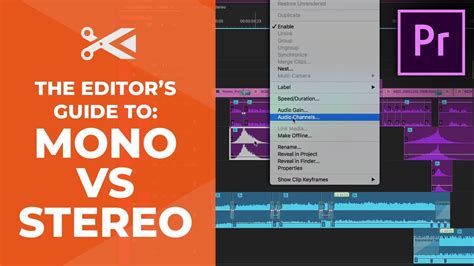 The Editor S Guide To Mono Vs Stereo Audio Premiere Pro Editing