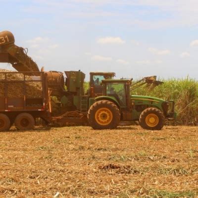 Moagem De Cana De A Car Atinge Milh Es De Toneladas Em Ms Cana Online