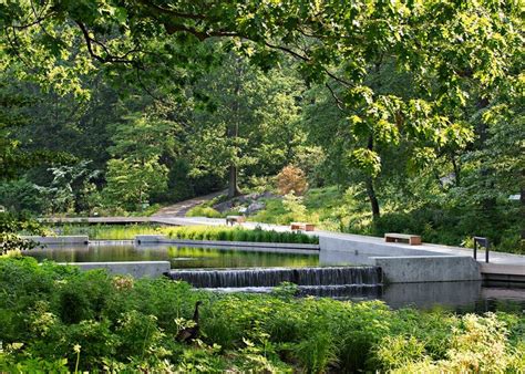 The Native Plant Garden Ny Ovs Landscape Architecture Landscape