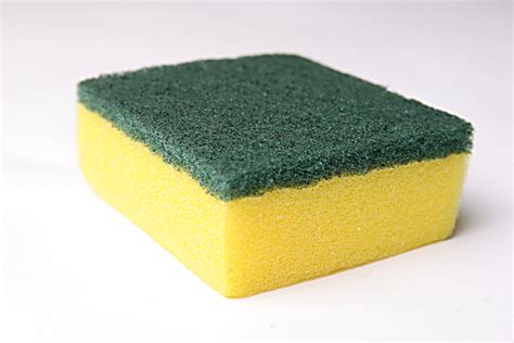 Free sponge Stock Photo - FreeImages.com