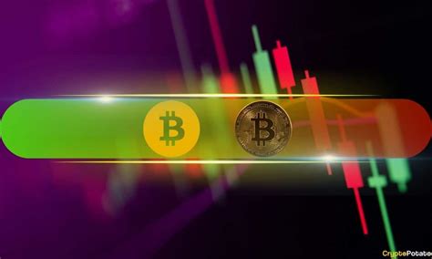 BSV Skyrockets 110% Weekly and Taps $100, BTC Struggles Below $42K ...