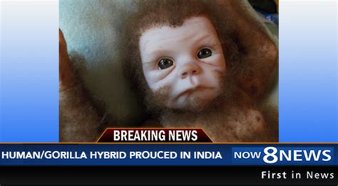 Humangorilla Hybrid Infant Born In India Being Experimented On By Scientists