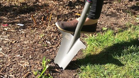 Best Tool For Cutting Tree Roots Trinidadgoda