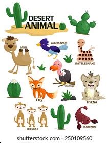 Desert Animals With Names Chart