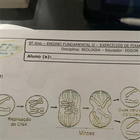É Correto Afirmar Que A Mitose Possui A Função De - Com base na análise da figura, que ilustra o processo de mitose, é ...