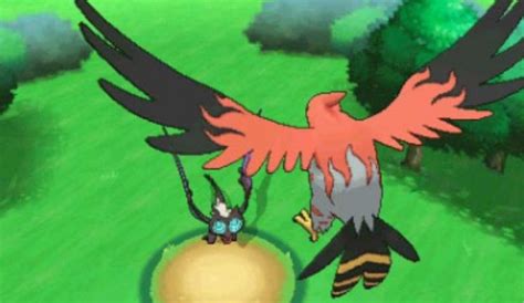 Talonflame revealed for Pokémon X and Y | BoxMash