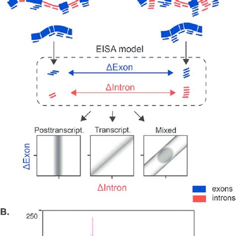 The Exon Intron Split Analysis Eisa Detects The Extent Of Gene Download Scientific Diagram