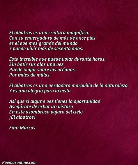 Mejores Poemas Sobre Albatros Poemas Online