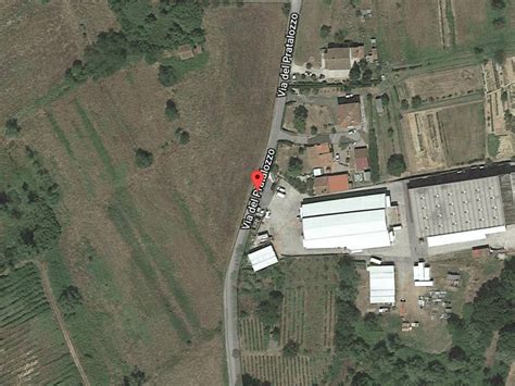 Asta Per Azienda Agricola Via Di Pratalozzo 10 Pescia 10 Veneri