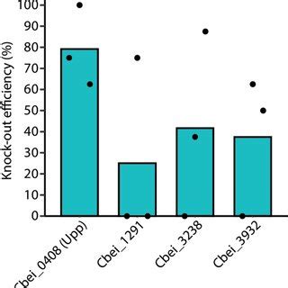 Single Gene Knockout Of Multiple Genes In C Beijerinckii NCIMB 8052