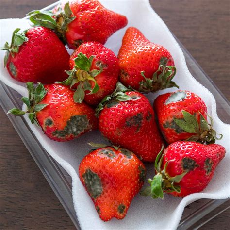 How To Tell If Strawberries Are Bad Ensuring Freshness