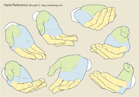 手のイラスト資料集 Hand Reference Hato King Hand Drawing Reference Anatomy