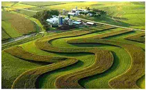 Terrace Farming And Its Top 13 Interesting Facts Introduction