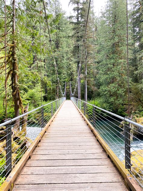 Staircase Rapids Loop Olympic National Park Artofit