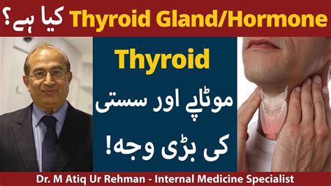 What Is Thyroid Gland Hormone Causes Symptoms And Treatment In