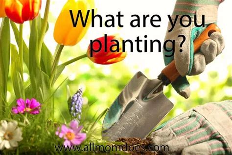 planting allmomdoes
