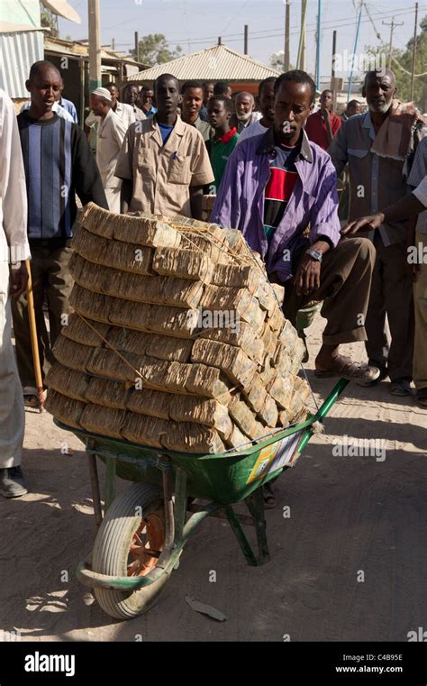 Hyperinflation Wheelbarrow