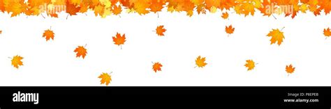 Horizontal Seamless Background Autumn Leaves Stock Vector Images Alamy