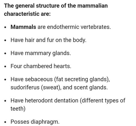 Class Mammalia Characteristics