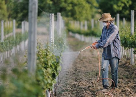 Descubre qué es la horticultura y qué tipos existen