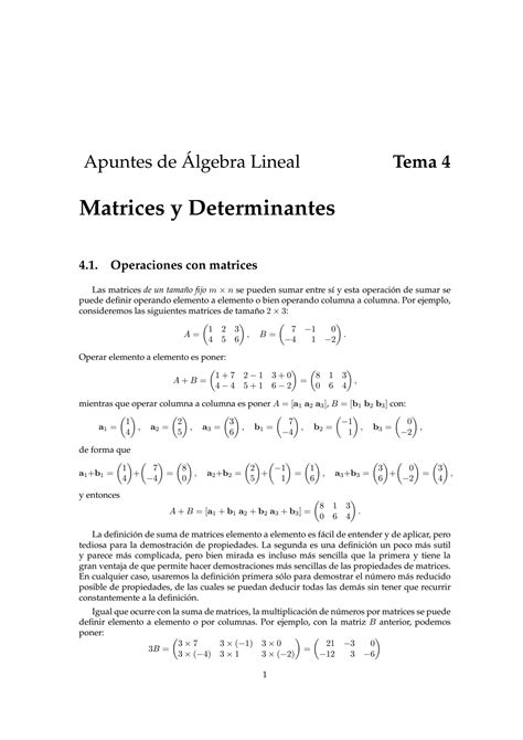 SOLUTION Tema 4 Matrices Y Determinantes Studypool