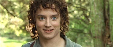 Frodo - Frodo Image (11612124) - Fanpop